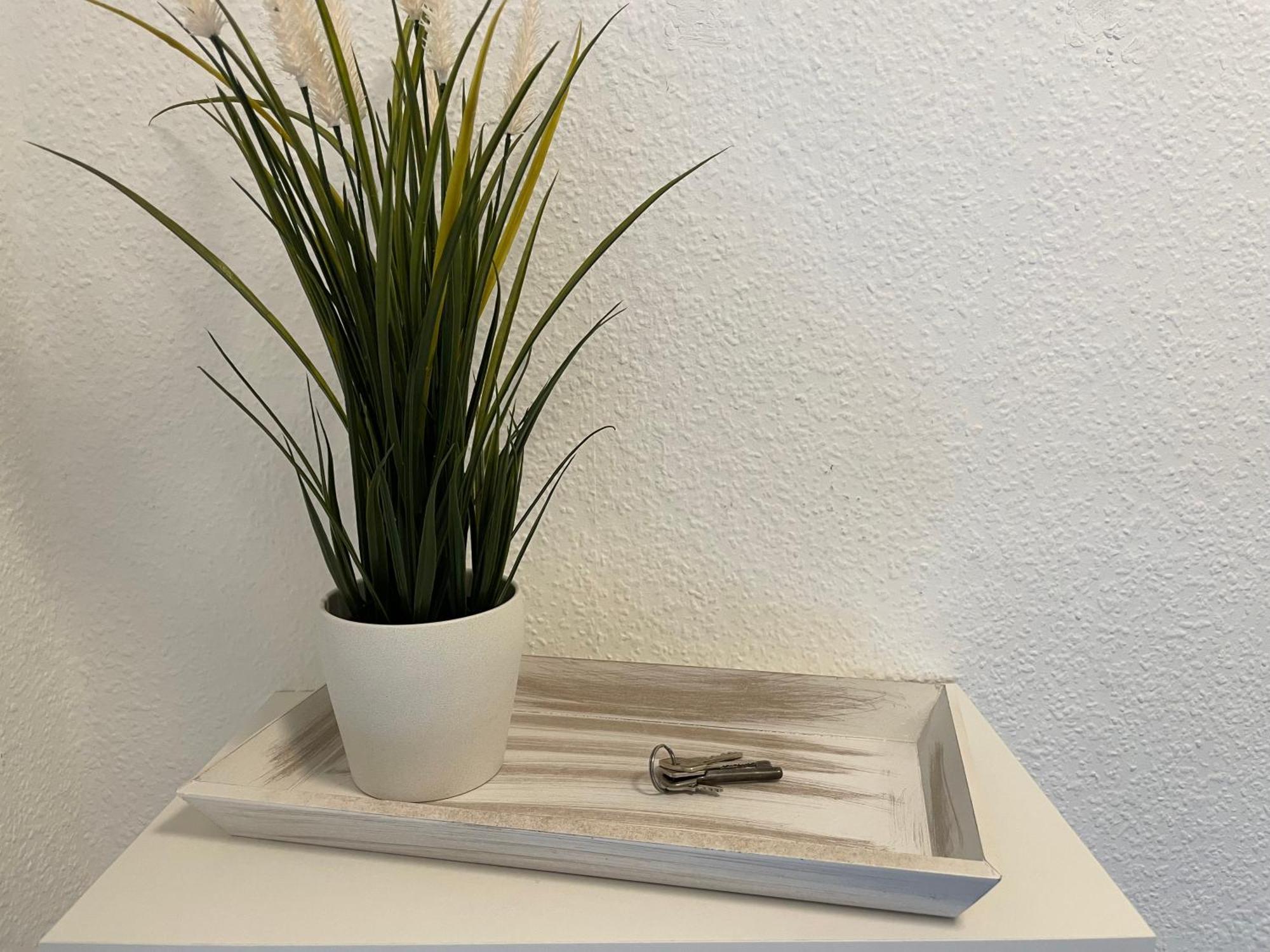 Apartment Cosy Und Am Puls Von *